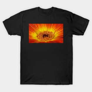 glowing bright coloured  gazania floral fantasy T-Shirt